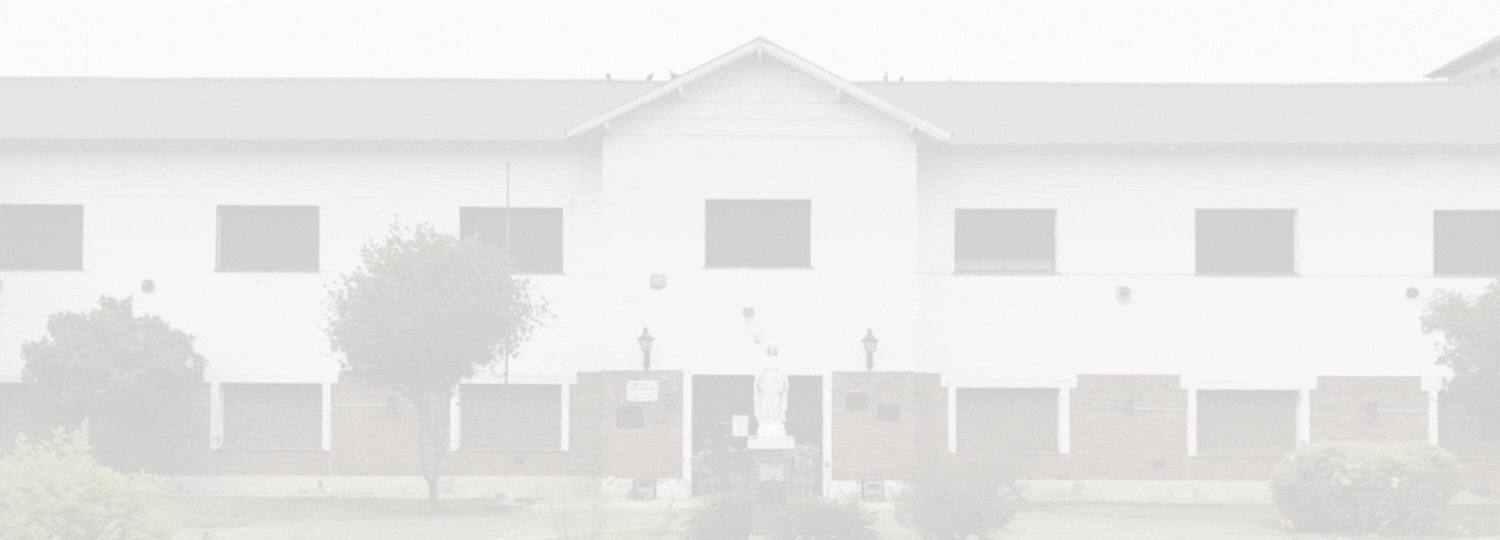 Copia de Banner campus 4953
