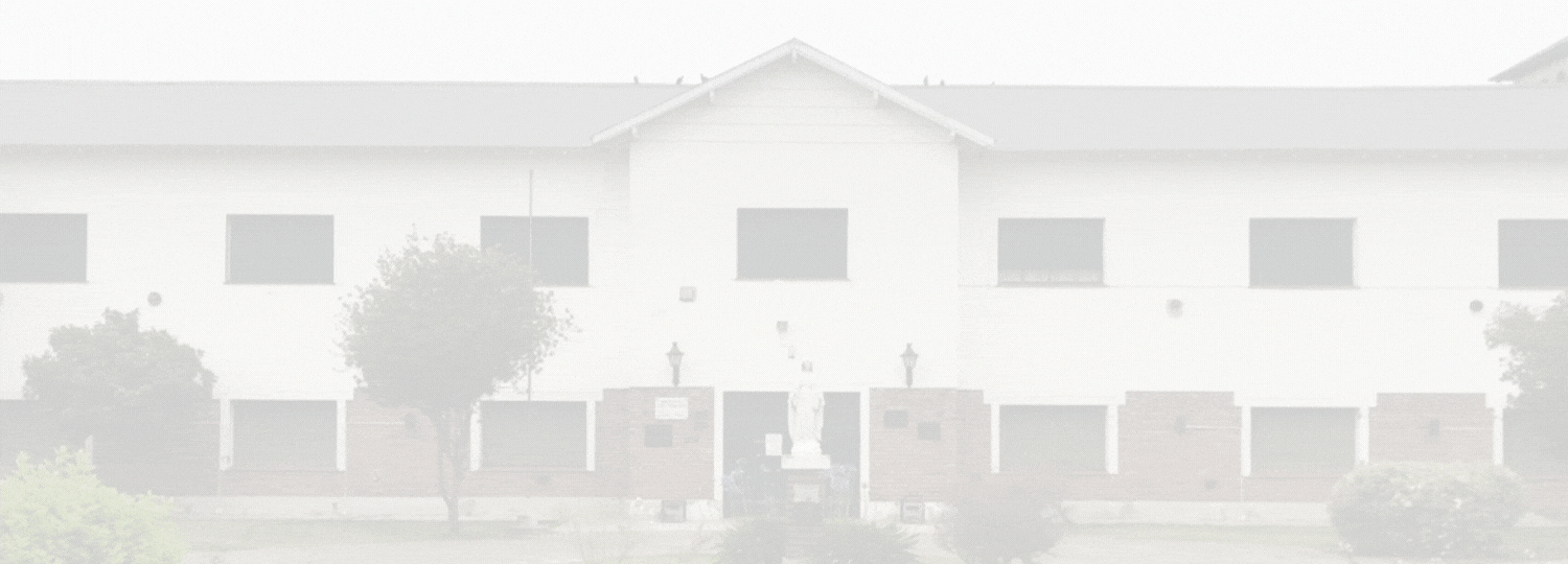 Copia de Banner campus 4954